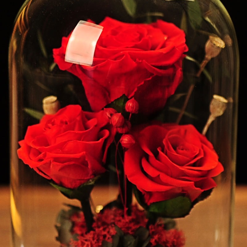 Preserved Forever Rose Glass Dome Centerpiece